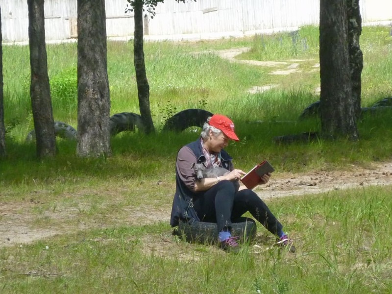 Изображение