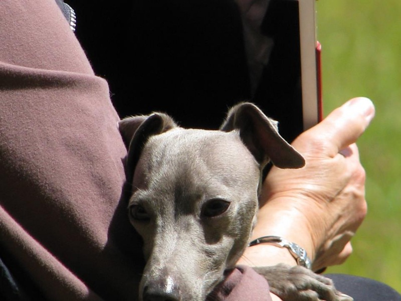 Изображение